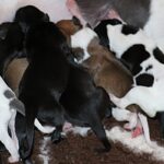olala und Kinder